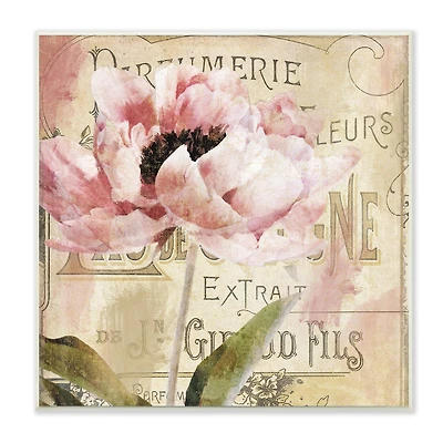 Stupell Industries Vintage Pink Peony Floral Parisian Advertisement Pattern,12" x 12"