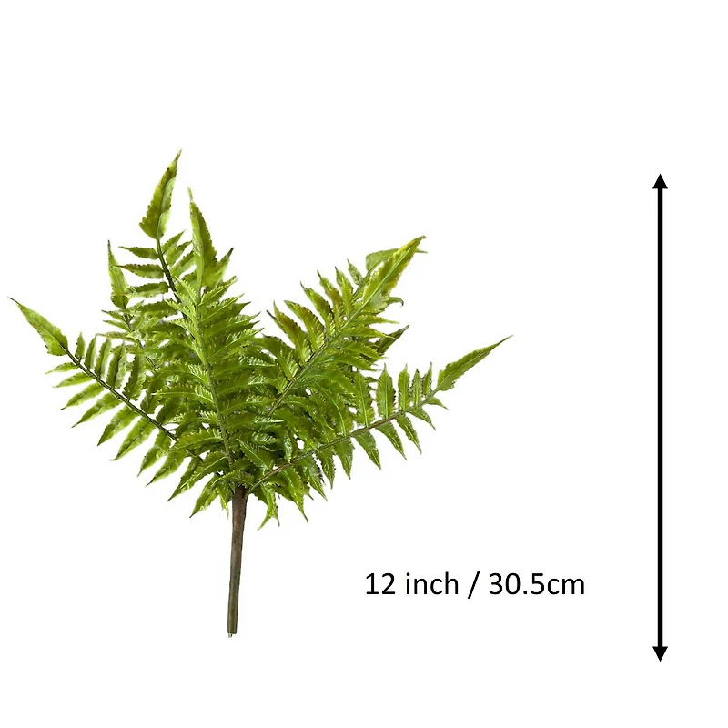 Boston Fern Bush by Ashland®