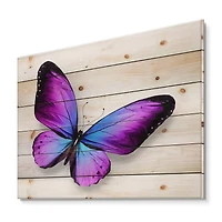 Designart - Violet and Blue Butterfly