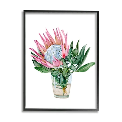 Stupell Industries Blushing Protea Flower Glass Watercolor Flower Still Life Framed Wall Art