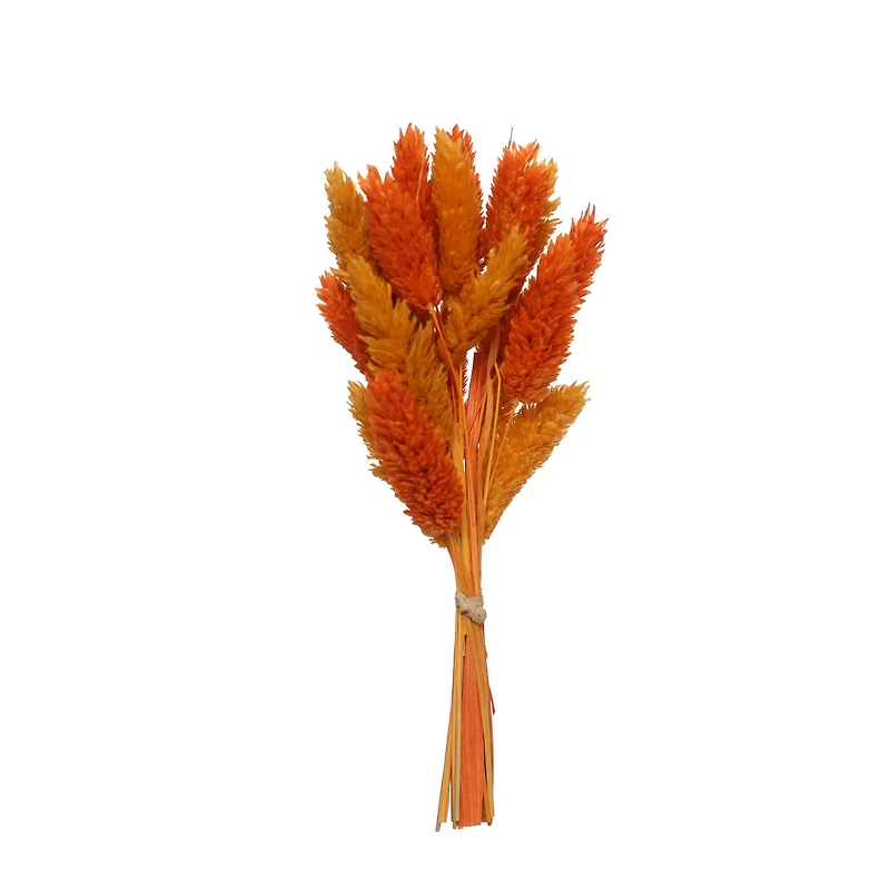 7" Orange & Yellow Dried Reed Canary Grass Mini Bundle by Ashland®