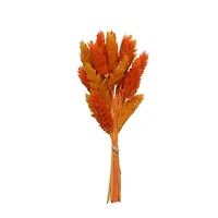 7" Orange & Yellow Dried Reed Canary Grass Mini Bundle by Ashland®