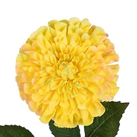 Yellow Zinnia Artificial Stem, 3ct.