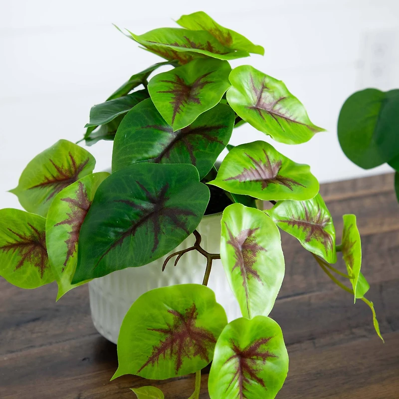 8" Mixed Greenery in Ceramic Planters Set