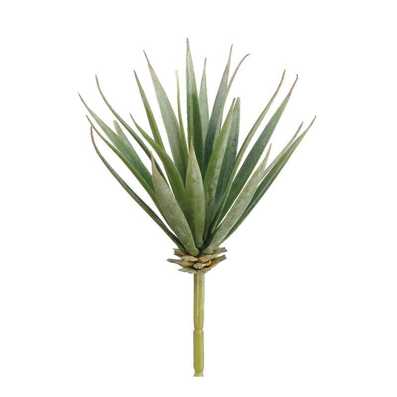 Patchy Green Aloe Pick