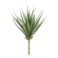 Patchy Green Aloe Pick 