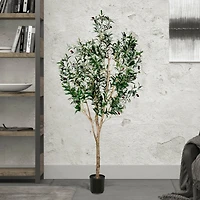 6ft. Potted Artificial Green Olive Tree