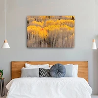 Beckwith Aspens Canvas Giclee