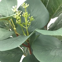 Silver Dollar & Lamb's Ear Bush by Ashland®