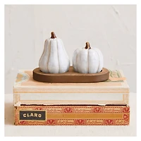 Hello Honey® White & Natural Stoneware Pumpkin Salt & Pepper Shaker Set