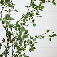 7ft. Minimalist Citrus Artificial Tree 