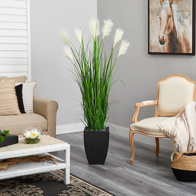 5ft. Wheat Plume Grass Plant in Black Planter