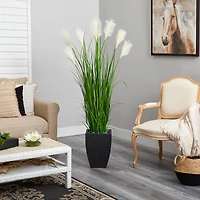 5ft. Wheat Plume Grass Plant in Black Planter