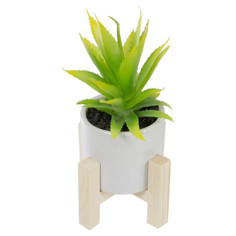 8.25" Potted Green Agave Plant with Wooden Stand