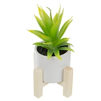 8.25" Potted Green Agave Plant with Wooden Stand