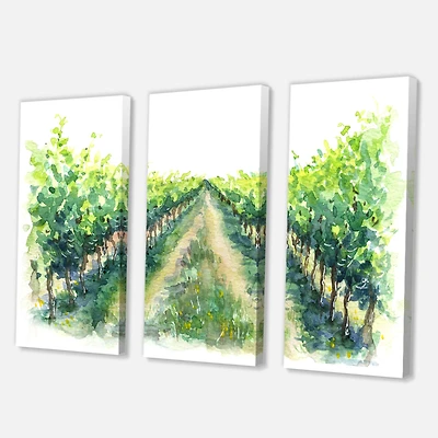 Designart - Rural Scene Vineyard Road