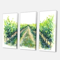 Designart - Rural Scene Vineyard Road