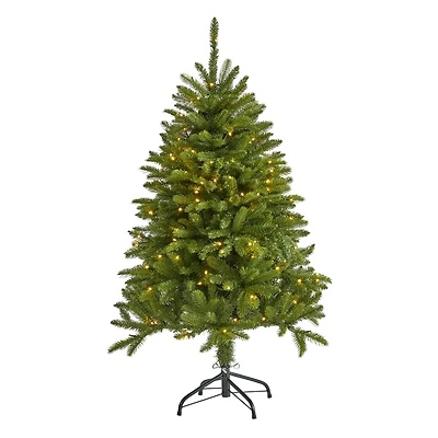 4ft. Pre-Lit Sierra Spruce Artificial Christmas Tree, Clear LED Lights