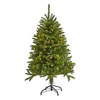 4ft. Pre-Lit Sierra Spruce Artificial Christmas Tree, Clear LED Lights