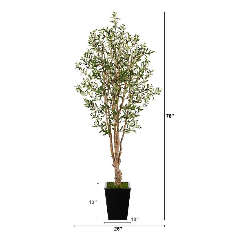 6.5ft. Olive Tree in Black Metal Planter