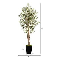 6.5ft. Olive Tree in Black Metal Planter