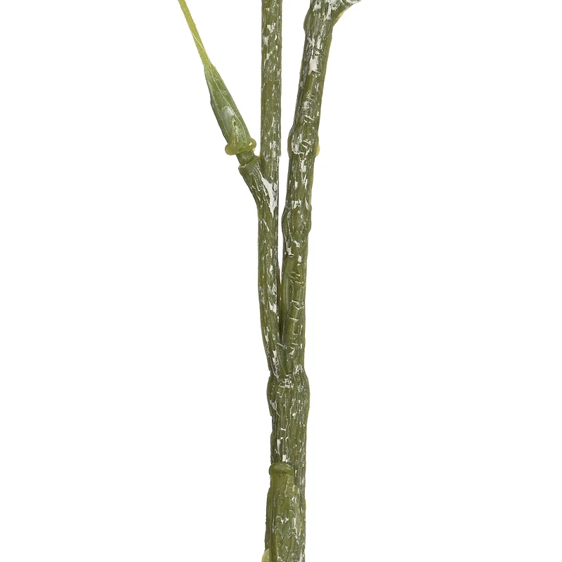 Green Pom Pom Stem, 3ct.