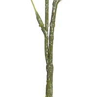 Green Pom Pom Stem, 3ct.