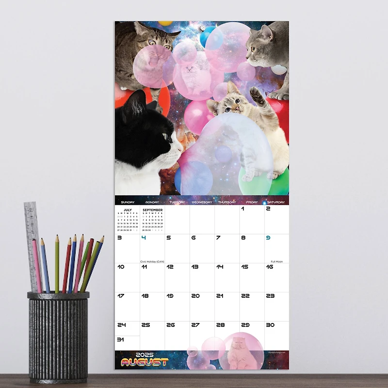 TF Publishing 2025 Space Cats Mini Calendar