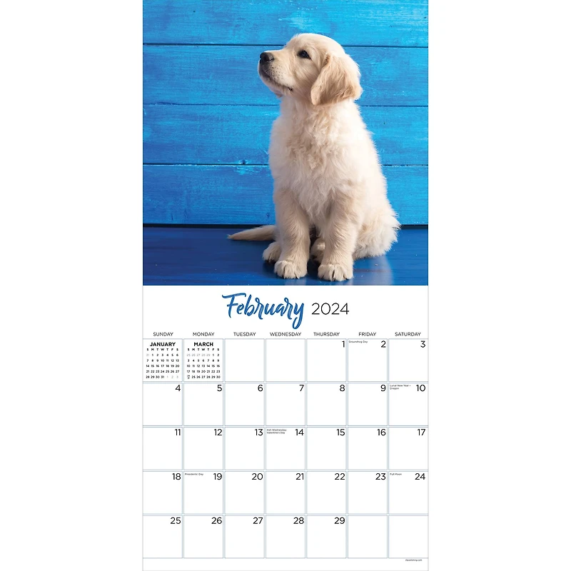 TF Publishing 2024 Golden Retrievers Wall Calendar
