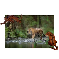 Tiger Stickers by Recollections™