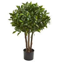 3ft. Potted Bay Leaf Topiary Tree