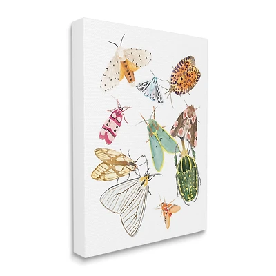 Stupell Industries Winged Insect Group Tropical Color Bugs Canvas Wall Art