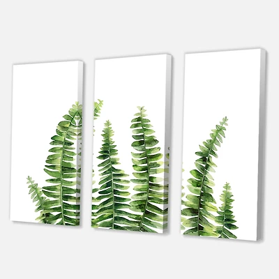 Designart - Fern Leaves Detail II