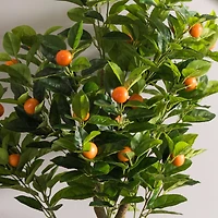 4ft. Potted Artificial Orange Tree