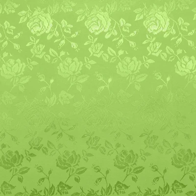 Citrus Green Jacquard Satin