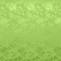 Citrus Green Jacquard Satin