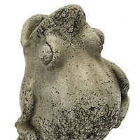 Hello Honey® 9" Cement Frog Planter