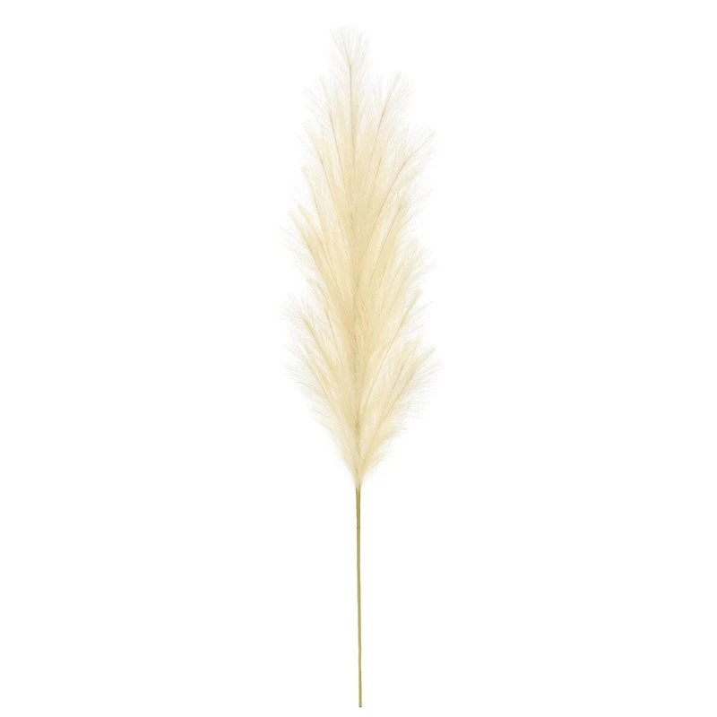 5ft. Cream Pampas Grass Stem by Ashland®