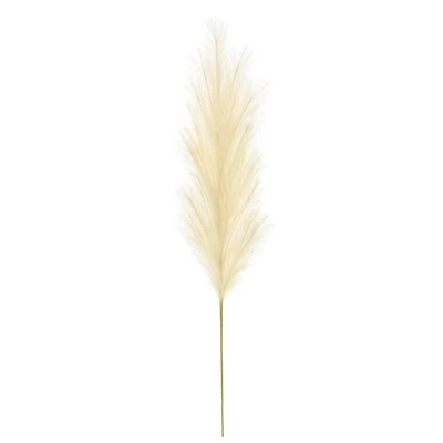 5ft. Cream Pampas Grass Stem by Ashland®