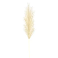 5ft. Cream Pampas Grass Stem by Ashland®
