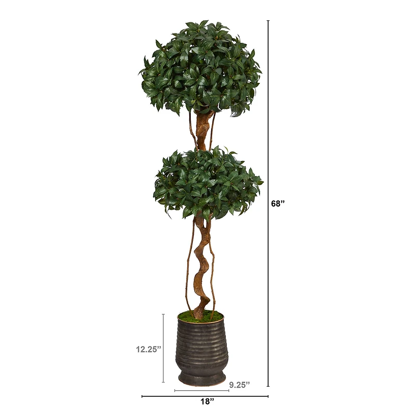 5.5ft. Sweet Bay Double Ball Topiary Tree in Ribbed Metal Planter