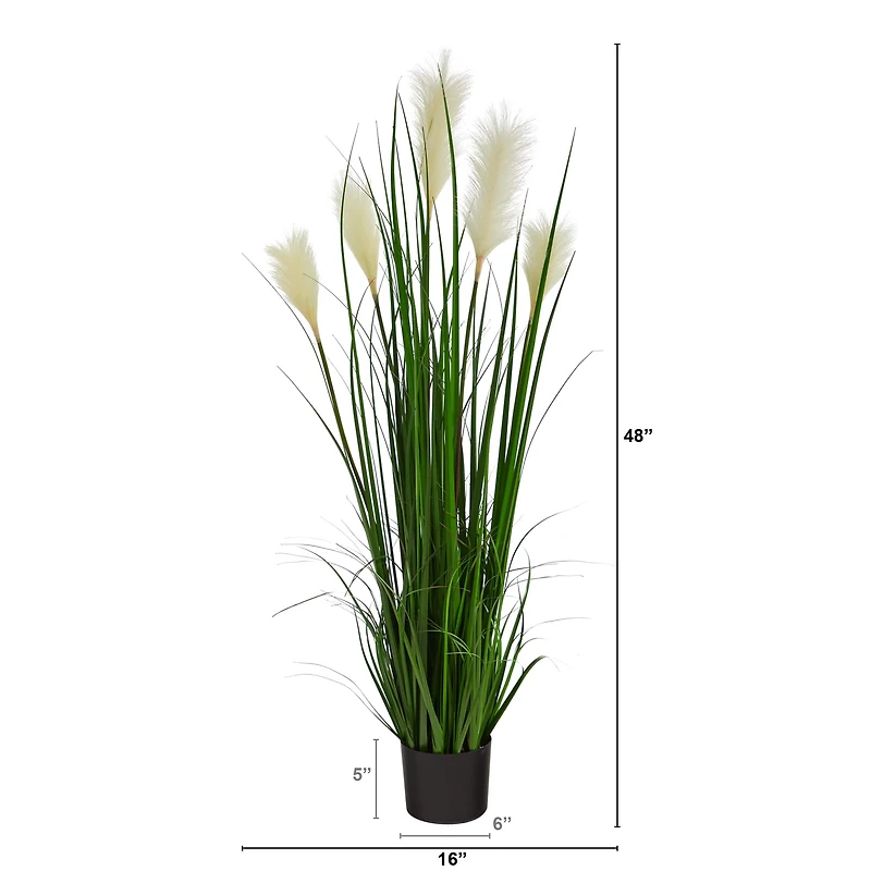 4ft. Potted Plume Grass Plant
