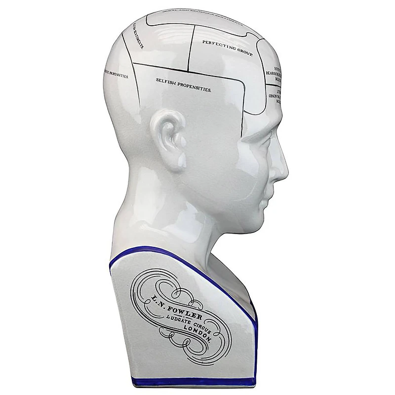 Design Toscano Porcelain Phrenology Head Statue