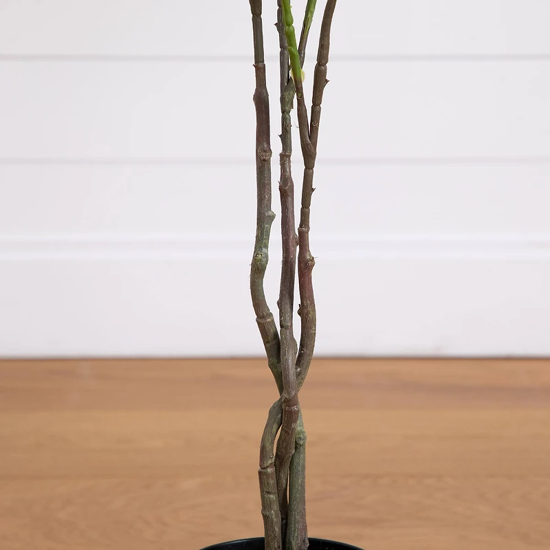 4ft. Pink Rose Tree in Black Pot