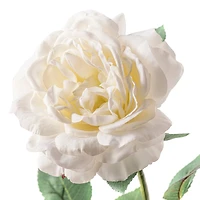 White Sophia Rose Stem by Ashland®