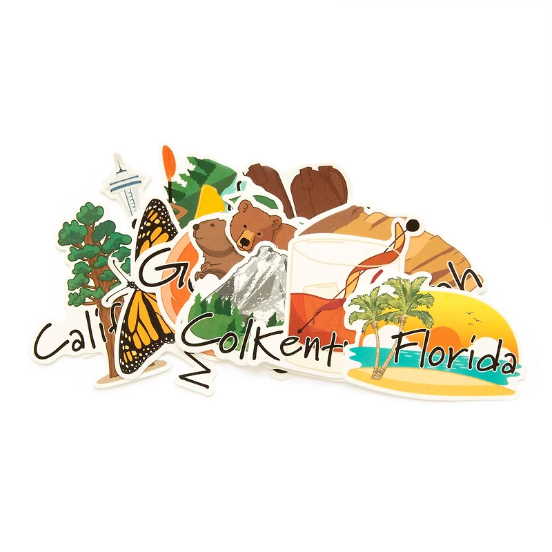50 States Vinyl Stickers by Recollections™