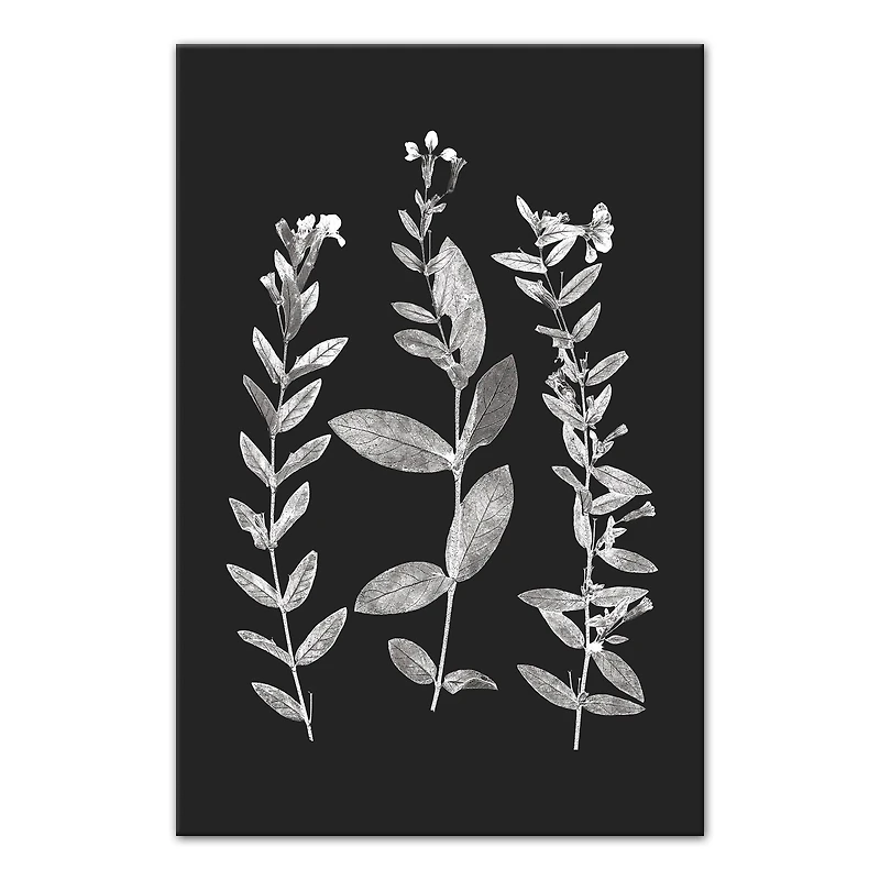 Designs Direct Pressed Flowers Canvas Wall Art