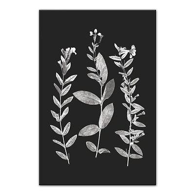 Designs Direct Pressed Flowers Canvas Wall Art