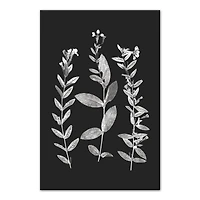 Designs Direct Pressed Flowers Canvas Wall Art