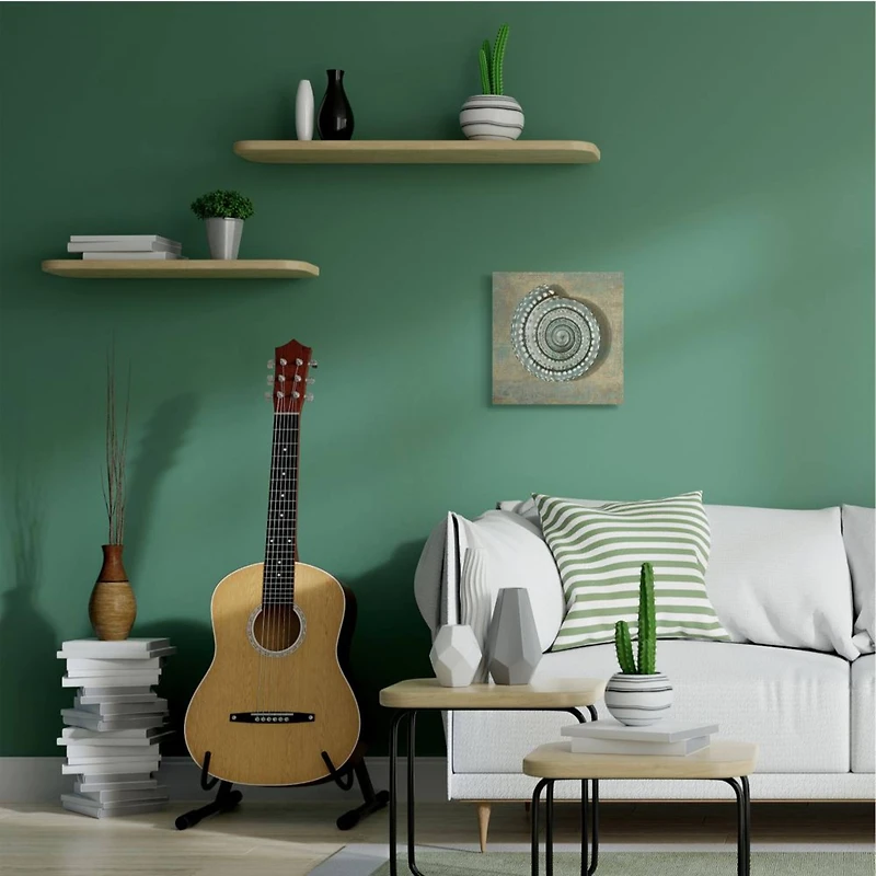 Stupell Industries Spiral Shell Beach Objects Design Canvas Wall Art